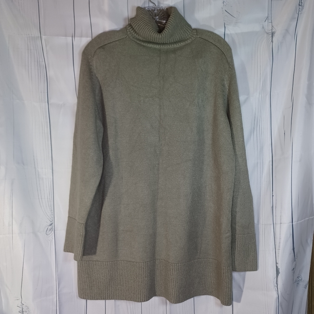 Zara turtleneck neck long sleeve oversized cozy comfy long sweater